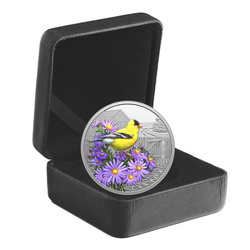 Canada: Colourful Birds - American Goldfinch kolorowany $20 Srebro 2024 Proof