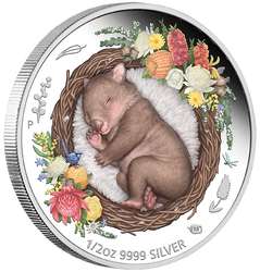 Dreaming Down Under: Wombat Durmiente coloreado 1/2 oz Plata 2021 Proof