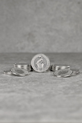 The Queen’s Beasts: White Greyhound of Richmond 1 oz Platin 2022