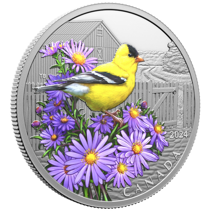 Canada: Colourful Birds - American Goldfinch $20 coloured Silber 2024 Proof Coin
