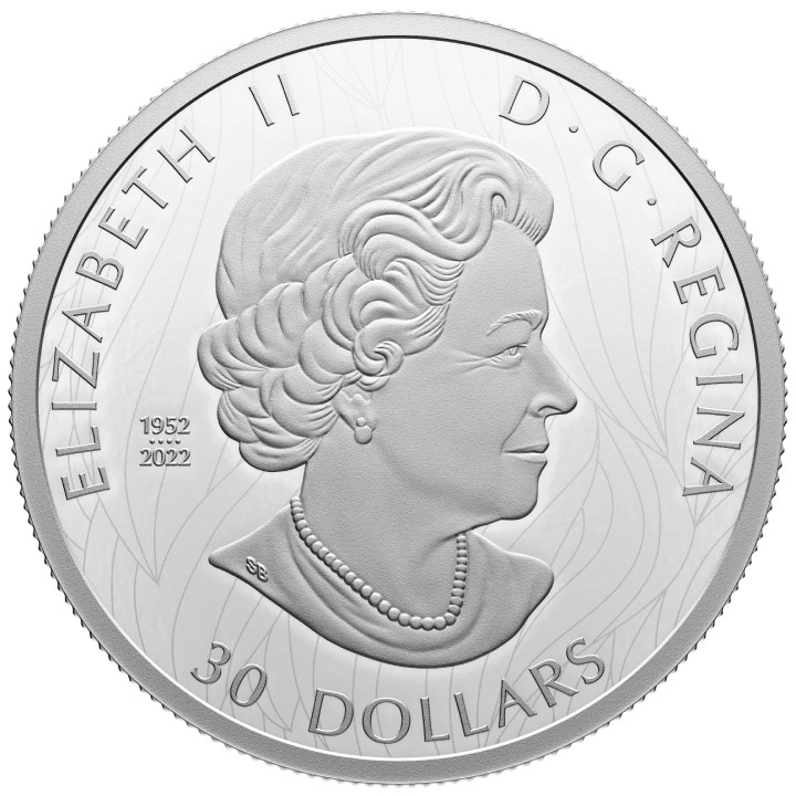 Canada: The Striking Bald Eagle $30 Silber 2023 Proof Coin 