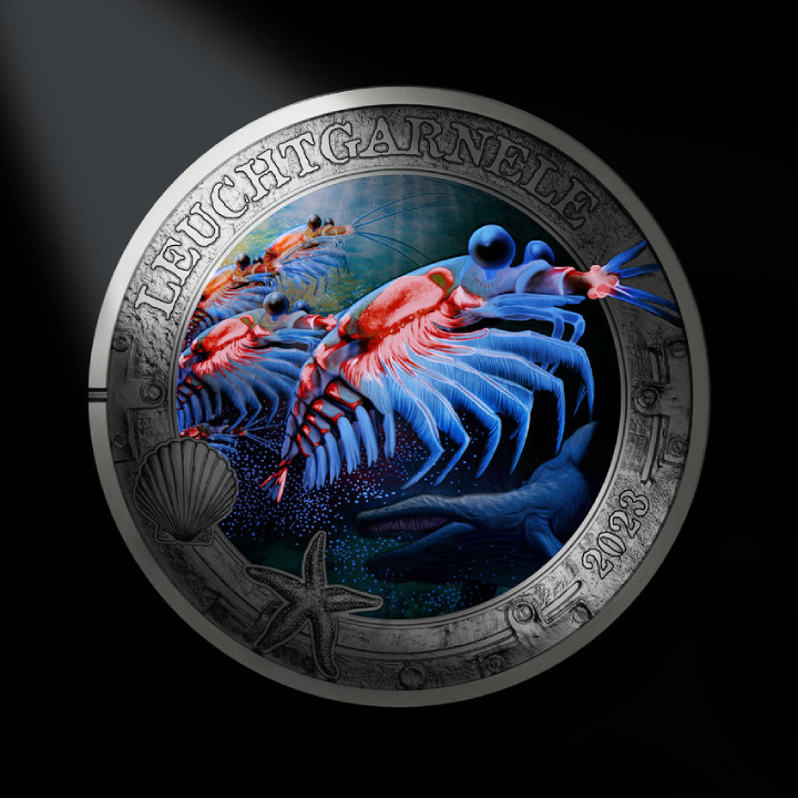 Leuchtturm - Siena tok 2 érme számára Magic Capsules L