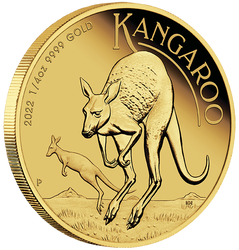 Zestaw Australijski Kangur 1/4 uncji & 1/10 uncji Złota 2022 Proof