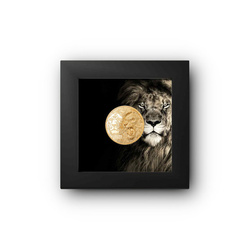 Cook Islands: King of the South - Lion 1/4 uncji Złota 2023 Proof High Relief