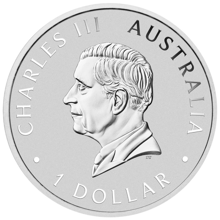 Moneda de Plata Caballo Salvaje Australiano - Brumby coloreado 1 oz plata 2026