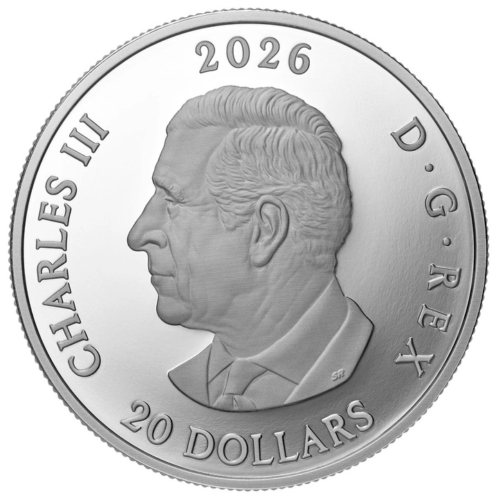 Parques nacionales de Canadá – Parque Nacional de las Montañas Torngat, coloreado, 1 onza de plata, 2026, Proof