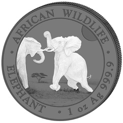 Set di 2 monete African Wildlife: Elefante somalo “Black & White” colorato 2 x 1 oncia d'argento 2024