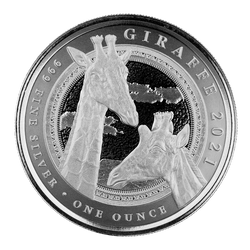 Guinée équatoriale : Girafe 1 once d'argent 2021 Prooflike