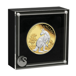 Australian Kangaroo 2 oz Silver 2023 Gilded Coin