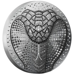 Niue: Year of a Snake 2 uncje Srebra 2025 Prooflike