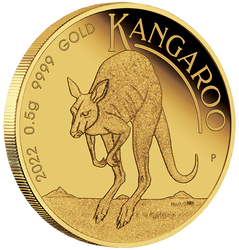 Australian Kangaroo 0.5 gram Gold 2022 Proof