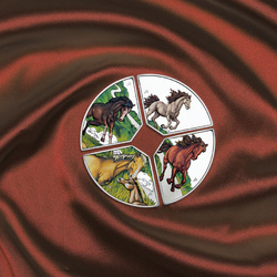 Set di 4 Monete Tuvalu: Anno del Cavallo Quadrant colorata 4 x 1 Oncia Argento 2026 Proof