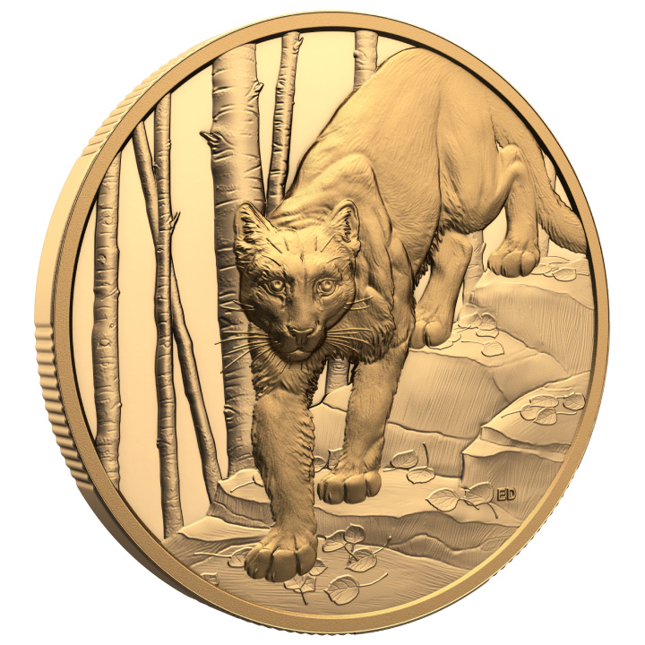 Canada: Grandi cacciatori - Puma $200 Oro 2024 Moneta Proof Ultra High Relief