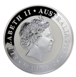 Koala 1000 grammes d'argent 2008