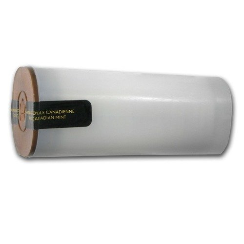 Bison 1,25 once d'argent 2015