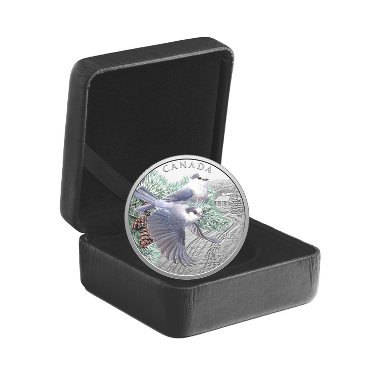 Monedă de argint Păsări colorate: Gaițe canadiene colorată 1 uncie de argint 2026 Proof