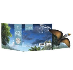 Dimorphodon 8 gramů měděného niklu 2021