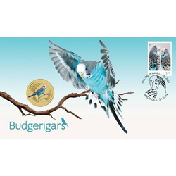 Budgerigar Aluminium Bronze 2022