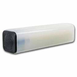 Aigle américain 1/10 once d'or 2025