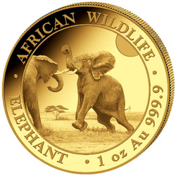 African Wildlife: Somalia Elephant 1 oz Gold 2024