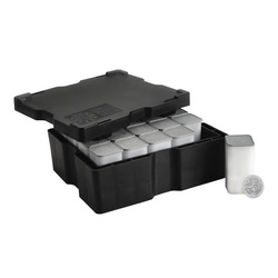 Myths & Legends: Morgan Le Fay 1 uncja Srebra 2024