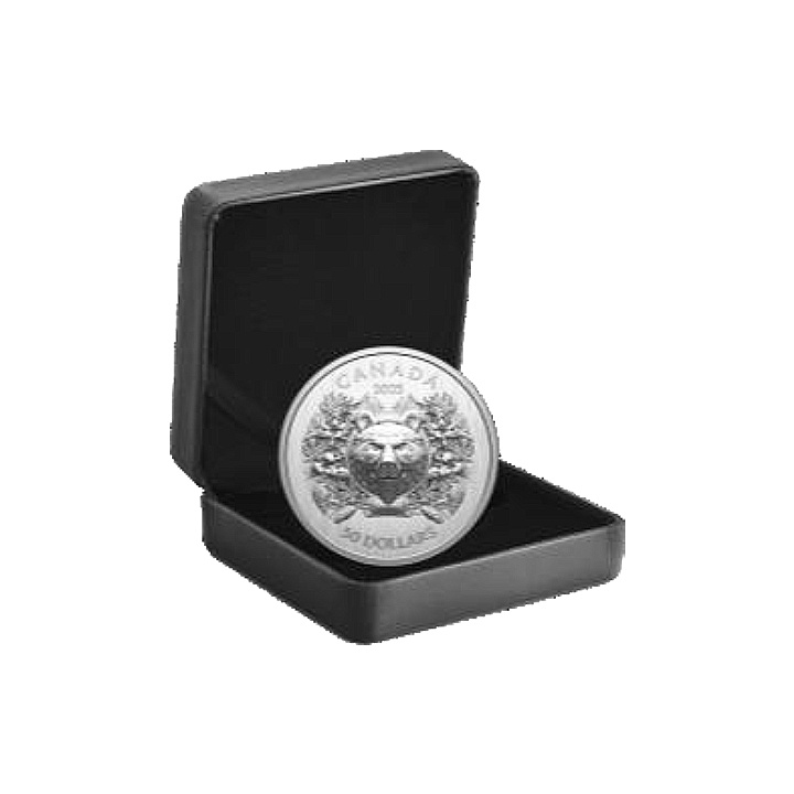 Canada: Heraldic Bear $50 argento 2025 Proof