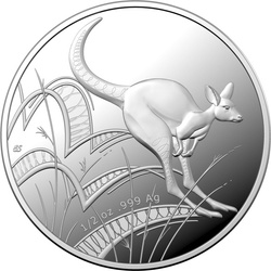 Kangaroo Bounding 1/2 oncia d'argento 2022 Proof