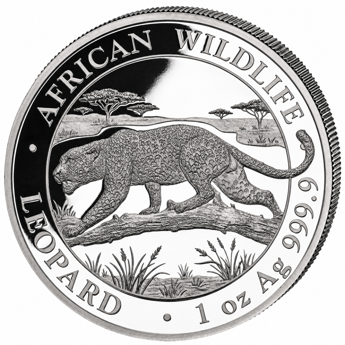 Unce Stříbrná mince African Wildlife: Leopard 1 unce stříbra 2026