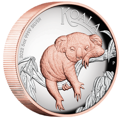 Australian Koala 5 oz Silber 2022 Proof High Relief Gilded Coin