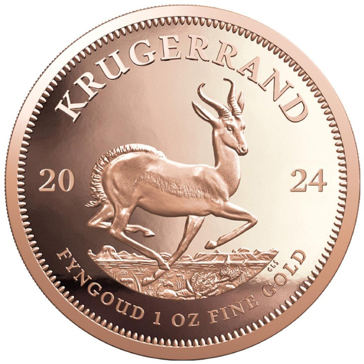 Krugerrand 1 once d'or 2024 Reverse Proof