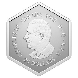Canada: Fiocco di neve 1 oncia d'argento 2025 Reverse Proof