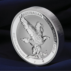 Aquila australiana 10 once d'argento 2023 Proof Incisa