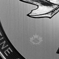 Foglia d'acero canadese 10 once d'argento