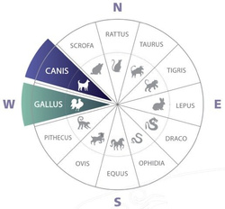 ZI:SIN Canis 1 uncja Srebra 2018
