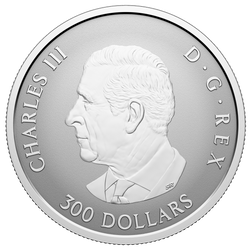 Platinmünze Kanada: Maple Leaf Forever 1 Unze Platin 2026 Reverse Proof