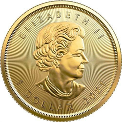 Feuille d'érable canadienne 1/20 once d'or 2021
