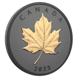 Foglia d'acero canadese “Gilded Elegant Maple” dorata 1 oncia d'argento 2025 Proof