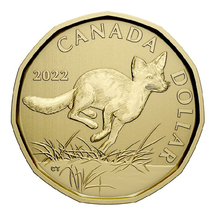 Set Canada: Swift Fox 6 monete 2022 Specimen