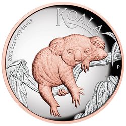 Australijska Koala pozłacana 5 uncji Srebra 2022 Proof High Relief