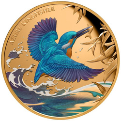 Niue: Azure Kingfisher kolorowany 1 uncja Złota 2023 Proof