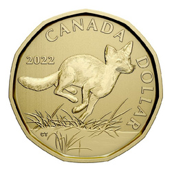 Kanada szett: Swift Fox 6 érme 2022 Specimen