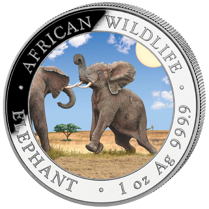 Vida salvaje africana: Elefante somalí 'Día' coloreado 1 oz Plata 2024