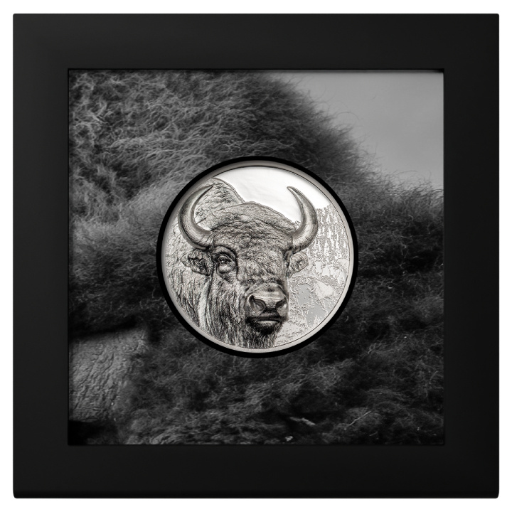 Mongolia: Bisonte 2 onzas de Plata 2025 Black Proof