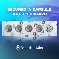 Saint-Kitts-et-Nevis : Coquillage 1 once d'argent 2023 Prooflike (monnaie dans une capsule)