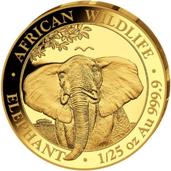 Fauna africana: Elefante somalo 1/25 oncia d'oro 2021