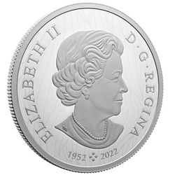 Canada : Weather Watch - Bison 30 Argent 2024 Proof