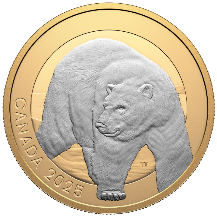 Canada: Ritratti di animali - Orso polare placcato in oro $20 Argento 2025 Proof