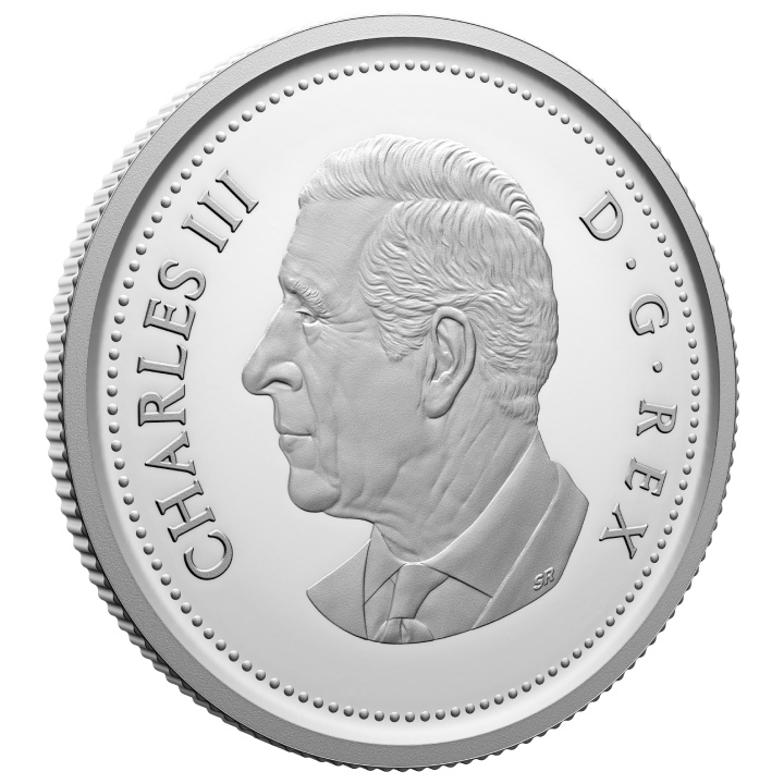 Set Canada: 100° anniversario della Royal Canadian Air Force - Edizione speciale 7 monete d'argento 2024 Proof