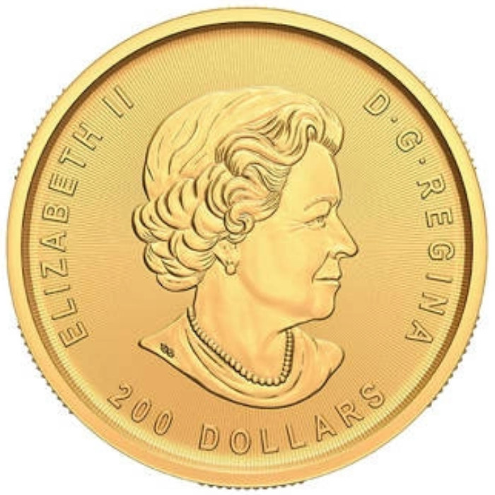 Goldmünze Kanada Klondike: Goldrausch - Die Suche nach Gold 1 Unze Gold 2022