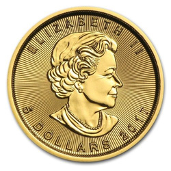 Hoja de Arce Canadiense 1/10 oz Oro